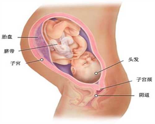 上海代孕2020价目表_宝宝保暖过了头也容易患感冒