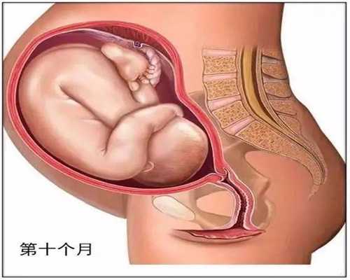 上海代孕小孩多少钱_轻度弱精能自然受孕吗