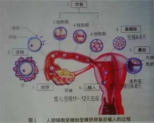 上海35万代孕包男女_分析早产的原因及如何预防早产