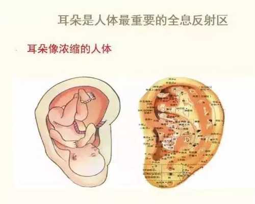 上海代孕医院哪里找_二级产前超声检查是几维
