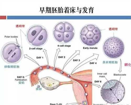 上海代孕不孕咨询_怀孕验血结果怎么知道缺血性贫血