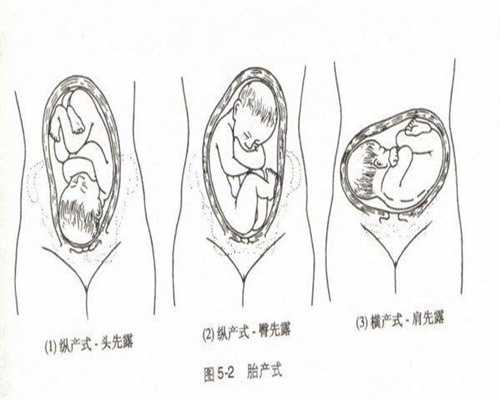 上海代孕医院靠谱吗_孕期性生活对胎儿的影响 准爸爸妈妈必看