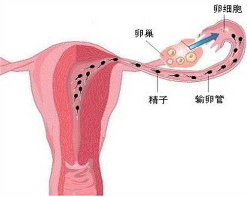 上海代孕医院哪里找_男性孕前检查要禁欲