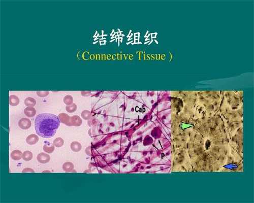 上海助孕机构是哪里_怀孕得了风疹病毒抗体阳性怎样治疗