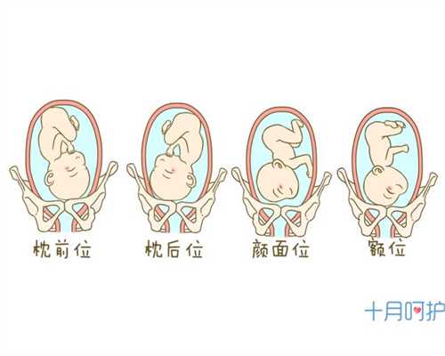 上海哪里有代孕的医院_怀孕多少个月可以同房？