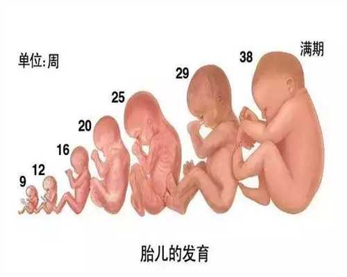 上海代孕合法化的国家_孕妇吃多宝鱼