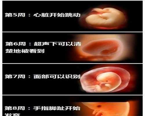 上海代孕包成功靠谱吗_怀孕多久会有早孕反应 早孕反应有什么症状