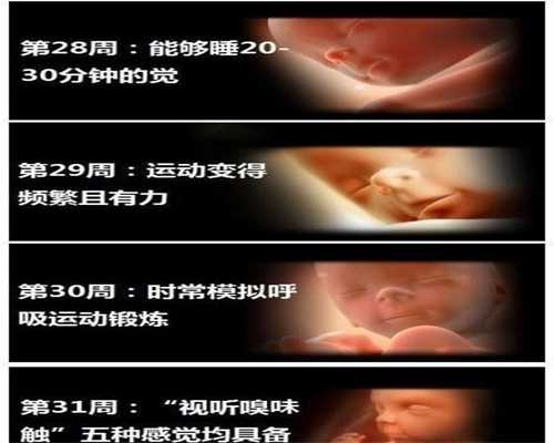 上海代孕的女人哪里找_哺乳期有什么食物不能吃