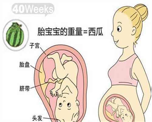 上海最大的代孕网_发生先兆性流产保胎率高吗