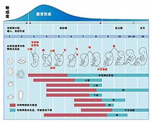 上海哪里有代孕的人_怎么预防畸胎瘤复发 女性子宫月经卵巢怎么保养