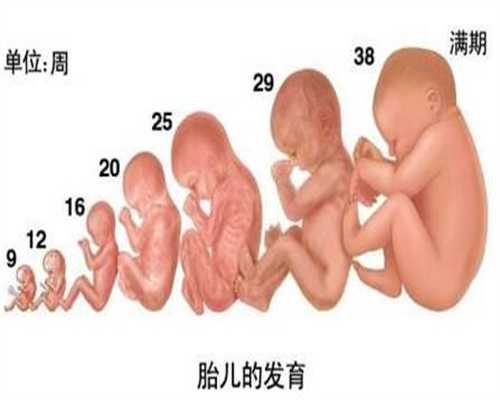 上海全国代孕医院排名_孕中期饮食营养应该注意什么