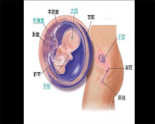 上海代孕最新政策_满月婴儿咳嗽怎么办
