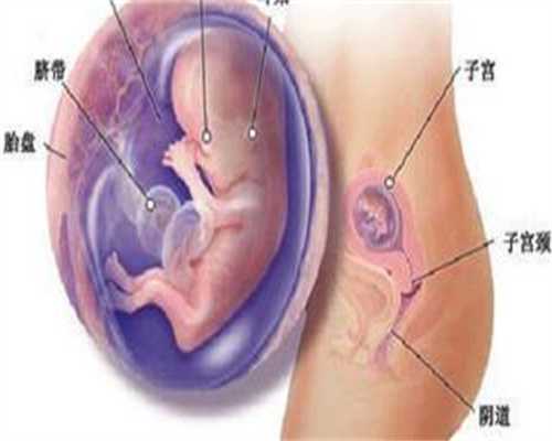 上海代怀孕医院_婴儿一边脸大一边脸小应该怎么办