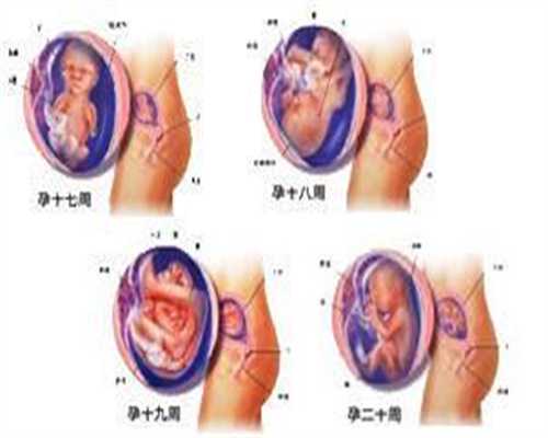 找上海代孕要多少钱_29周胎儿发育标准是什么