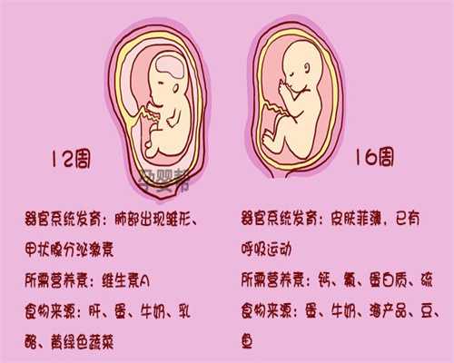 上海代生宝宝一键咨询_静脉曲张最快的治疗方法