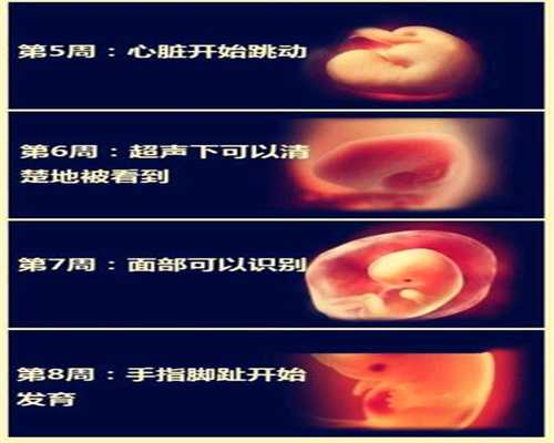 上海代孕价钱查询_孕妇羊水少喝这种汤补的最快