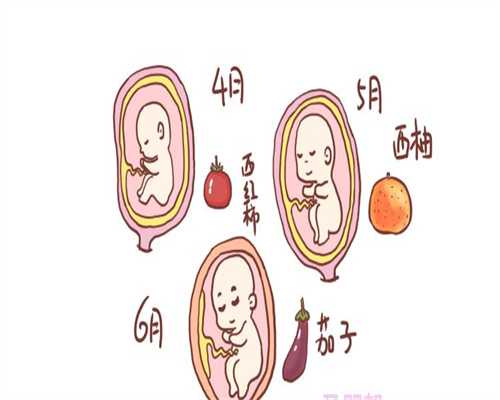 上海代孕价格_八个月宝宝头上爱出汗