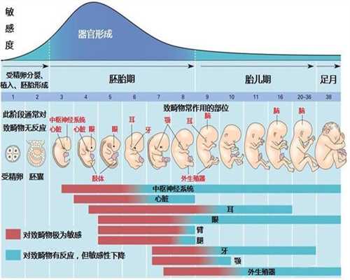 上海代孕生殖_正规的代孕网_代孕价格表