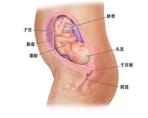 上海代孕不孕咨询_代孕宝宝正规吗_代孕孩子费用