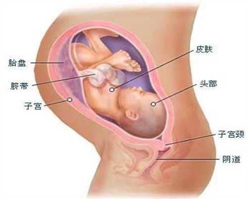 上海代孕产子包成功_代孕孩子的方式是怎样的_代孕小孩的女孩
