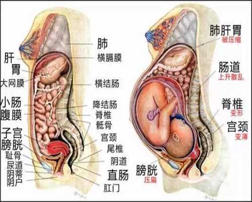 上海代孕医生_代孕儿子咨询_代孕双胞胎中心