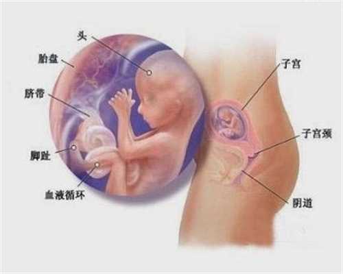 上海代孕网咨询电话_代孕宝宝机构_代孕男孩包儿子